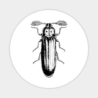 Pelecotoma beetle Magnet